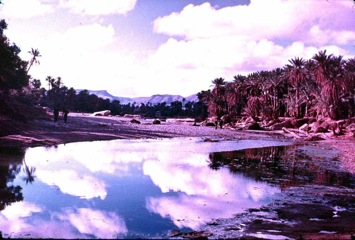 Colomb Bechar 046-collection Monneret.jpg